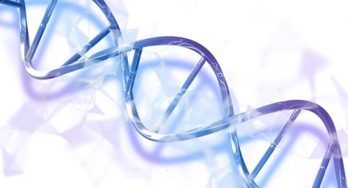 Juiz deverá aplicar medidas coercitivas a familiares que se recusam a fazer DNA, sejam ou não parte na investigação de paternidade